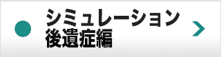 シミュレーション 後遺症編