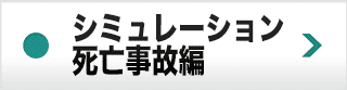 シミュレーション 死亡事故編