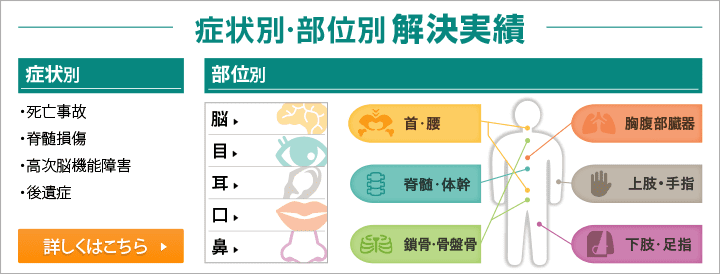 症状別・部位別解決実績