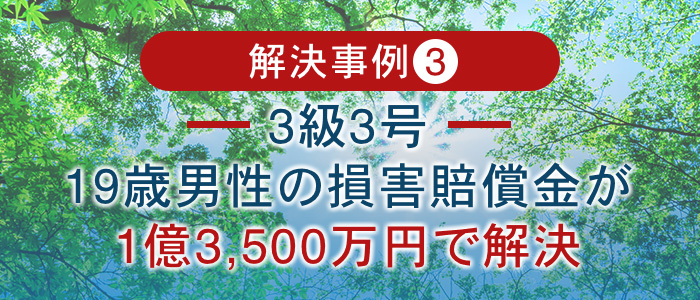 19歳男性の損害賠償金が1億3,500万円