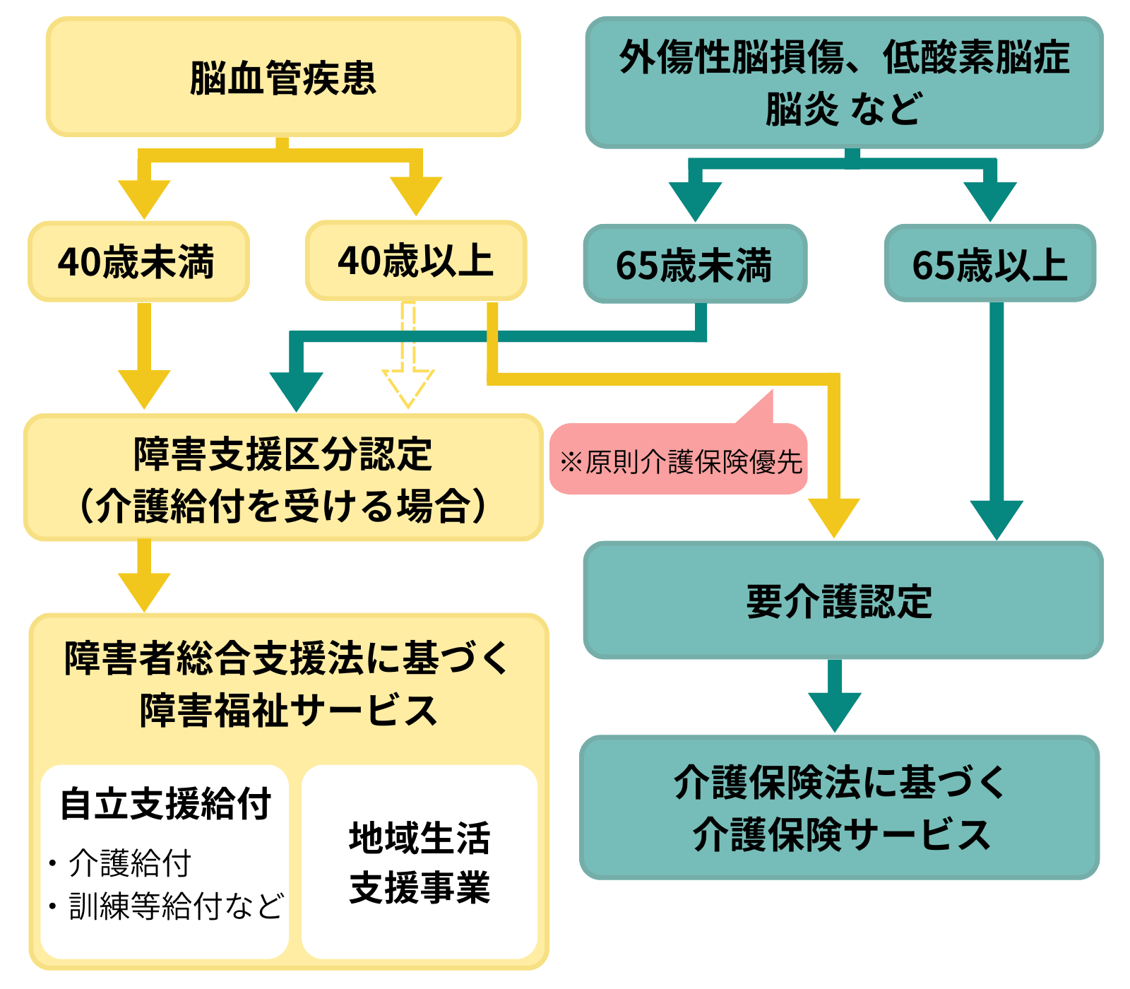 高次脳機能障害の家族がまずやるべきこと | リハビリや公的支援の手引き 5 高次脳機能障害の原因疾患・年齢と福祉サービス
